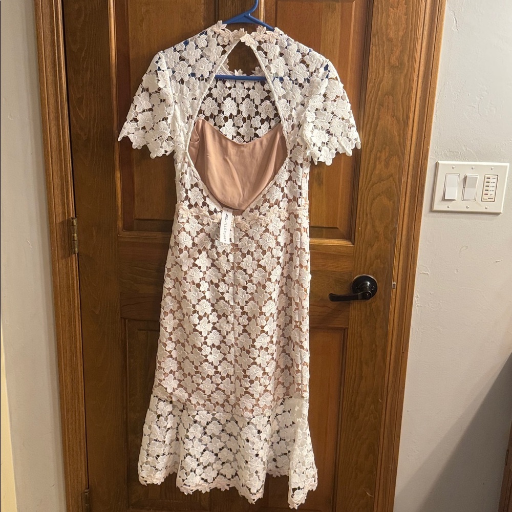 Stunning Lowry Dress By Jill Stuart Anthropologie BHLDN Collection Dress Size 6 - Picture 6 of 11